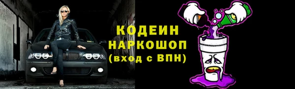 винт Абаза