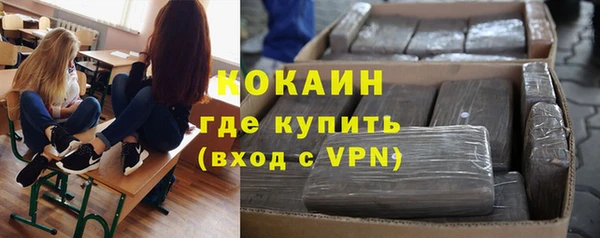 винт Абаза